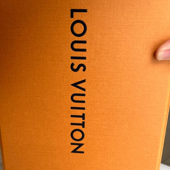 Authentic Louis Vuitton Pochette Coussin - Picture 4 of 6